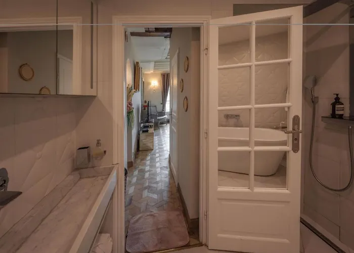 Place Dauphine Appartement